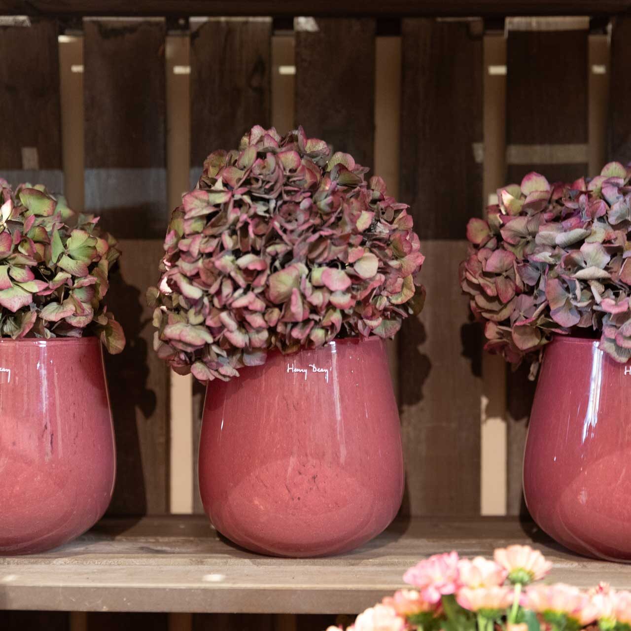 Weihnachten 24 im Bluemehuus an der Bäumleingasse 7 in Basel