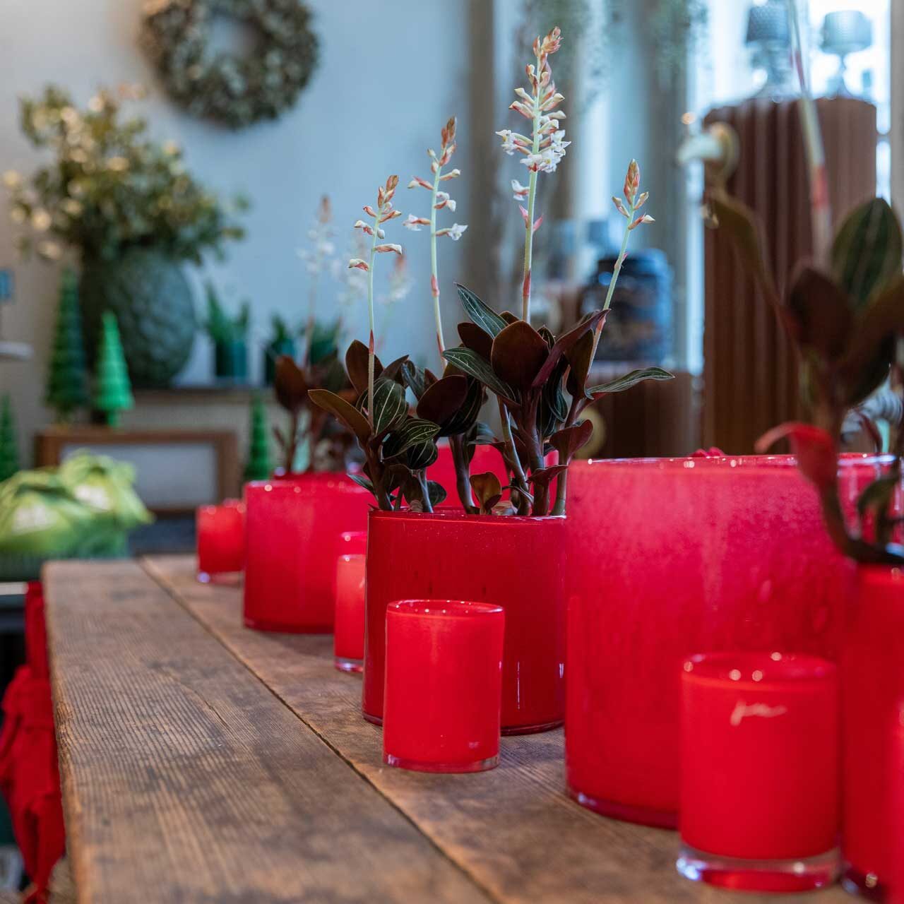 Weihnachten 24 im Bluemehuus an der Bäumleingasse 7 in Basel